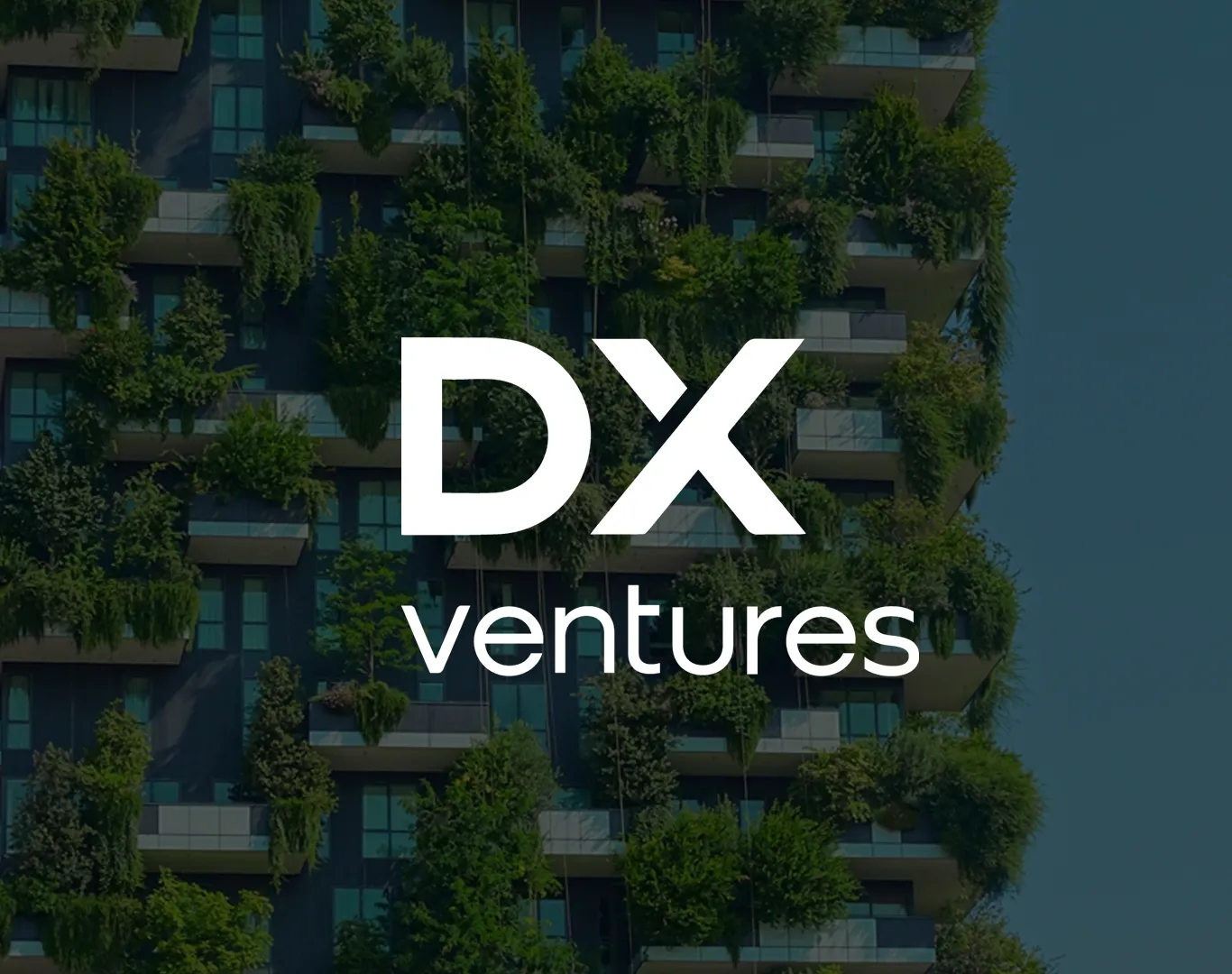 DX VENTURES